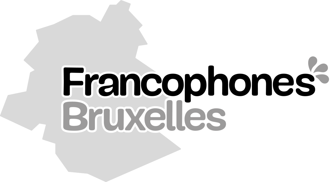bruxelles mobilité